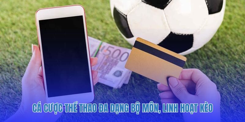 Cá cược thể thao đa dạng bộ môn, linh hoạt kèo
