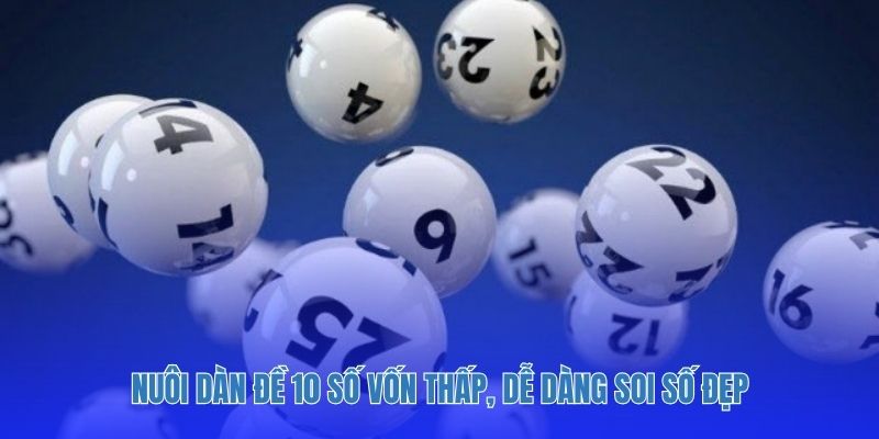 Nuôi dàn đề 10 số vốn thấp, dễ dàng soi số đẹp